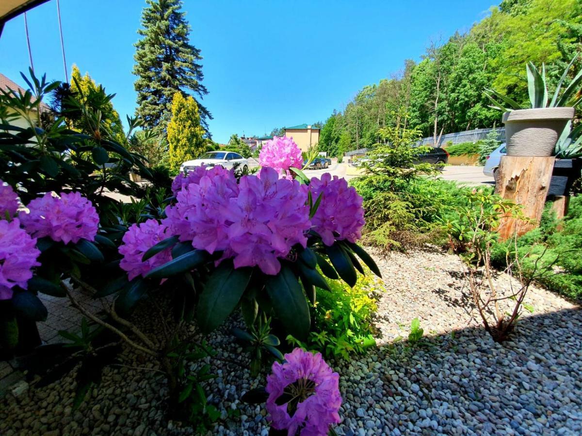 Hotel Mazuria Country & Spa Mrągowo Exteriér fotografie